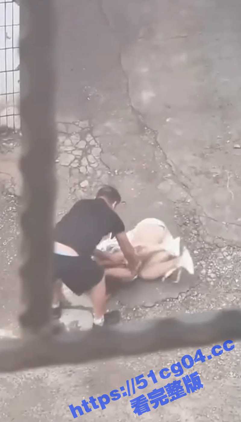 山西吕梁孝义市新安街 男子抡起砖头对着女子的头部猛锤的无码视频流出 被打女子抱头惨叫 惊恐不已 - 51吃瓜网-51吃瓜网