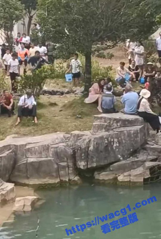 贵州女子跟情夫七夕相约 正你侬我侬之时 被丈夫抓奸用树枝猛抽 BGM非常应景!-51吃瓜网